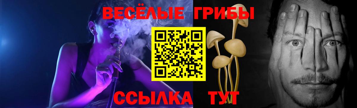 Псилоцибиновые грибы Psilocybine cubensis  Вход с VPN  Дятьково 